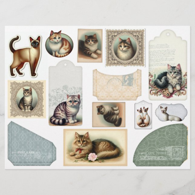 A Large Envelope Plus Pretty Cats in Lacy Frames (Front)