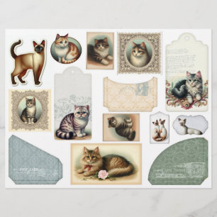 A Large Envelope Plus Pretty Cats in Lacy Frames