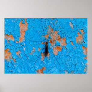 A large mosquito sits on an blue old cracked walla poster