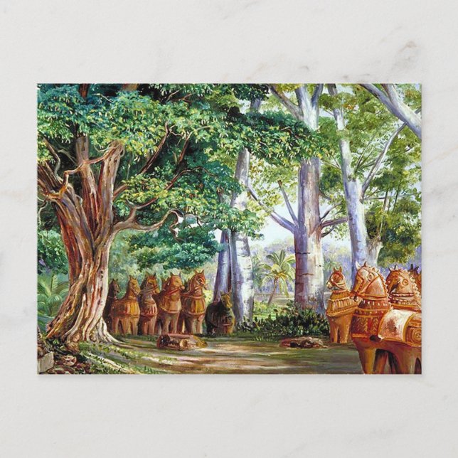 A Large Tamarind Tree Postcard (Front)