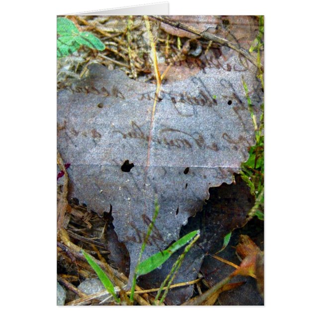A Leaf (Front)