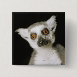 A lemur. 15 cm square badge