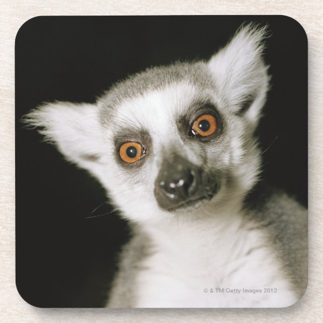 A lemur. coaster (Front)