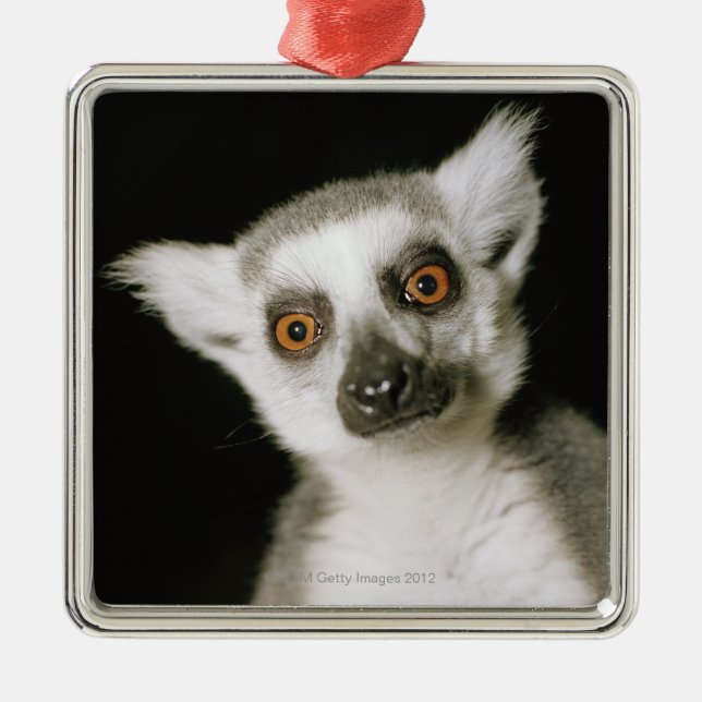 A lemur. metal tree decoration (Front)