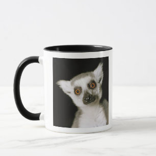A lemur. mug