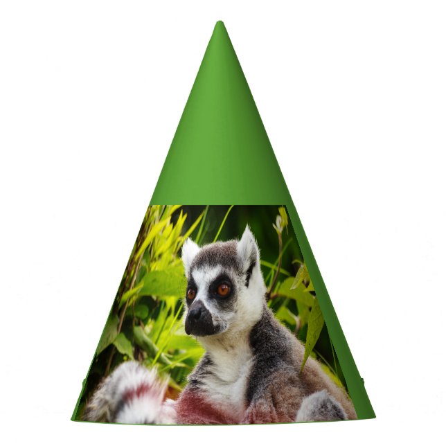 a lemur of Madagascar on Party Hat (Front)