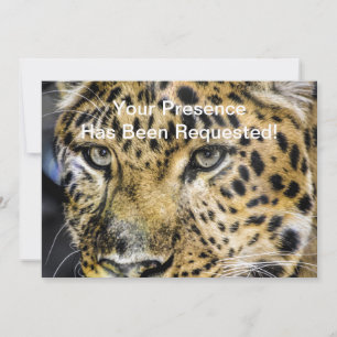 A Leopard's Eyes Invitation