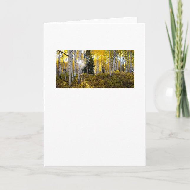 A Light in the Forest Greeting Card (Front)