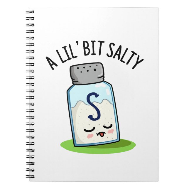 A Lil Bit Salty Funny Salt Shaker Pun  Notebook (Front)