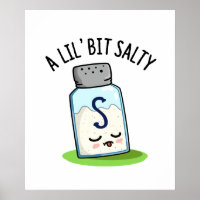 A Lil Bit Salty Funny Salt Shaker Pun