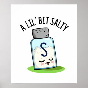 A Lil Bit Salty Funny Salt Shaker Pun Poster
