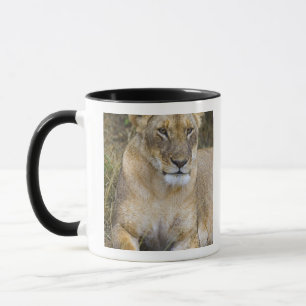 A lion sitting the high grass of the Maasai Mug