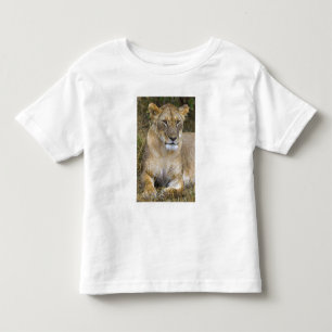 A lion sitting the high grass of the Maasai Toddler T-Shirt