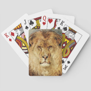 A Lion's Head (by Heywood Hardy) Playing Cards