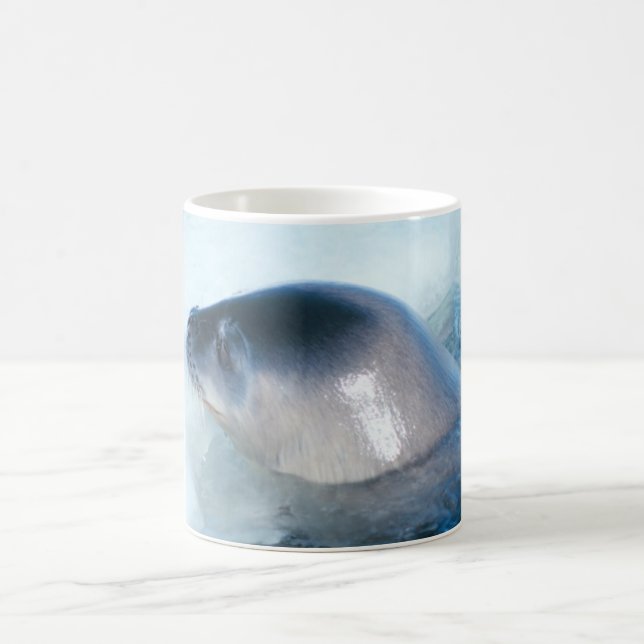 A little baby seal coffee mug (Center)