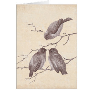 A Little Bird Told Me: Winter Birds Antique Sketch