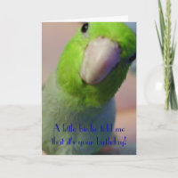 A Little Birdie Told Me...