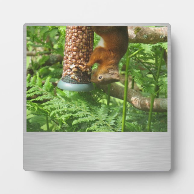 A Little Bit Nuts, Squirrel Plaque. Plaque (Front)