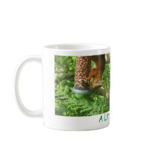 "A Little Bit Nuts", Upside-down Red Squirrels.