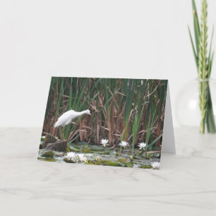 A Little Blue Heron Fishing Card