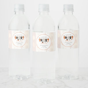 A little bue Halloween is almost due baby shower Water Bottle Label
