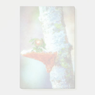 A Little Dragon Sleeps Post-it Notes