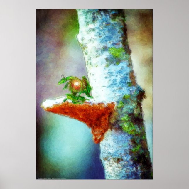 A Little Dragon Sleeps Poster (Front)