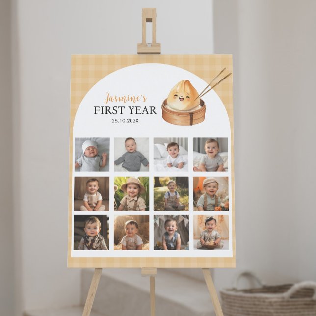 A Little Dumpling First Year Photo Milestone Sign (Creator Uploaded)