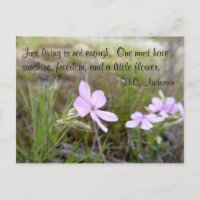 A Little Flower