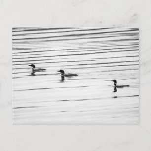 A Little Loony - Postcard