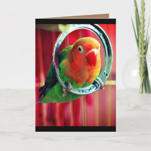 A Little Lovebird Card