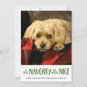 A Little Naughty Green Vertical Photo Holiday Card