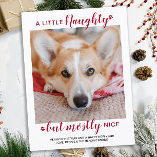A Little Naughty Personalised Dog Pet Photo Holiday Postcard