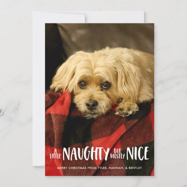 A Little Naughty | Vertical | Photo Holiday Card (Front)