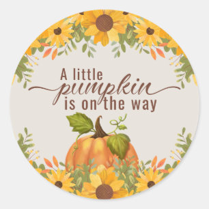 A Little Pumpkin Is On The Way Baby Shower Classic Round Sticker