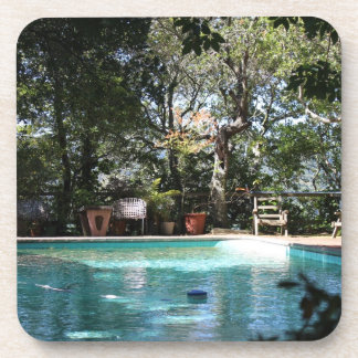 A Little R 'n R Coaster