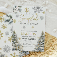 A Little Snowflake Is On The Way, Baby Shower