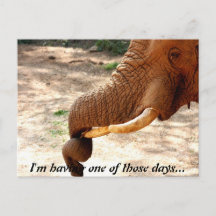 A little Twisted Postcard