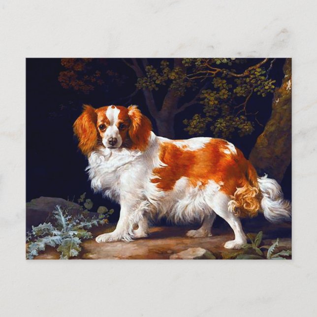A Liver and White Charle Spaniel  by George Stubbs Postcard (Front)