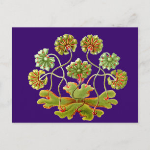 A Liverwort Postcard
