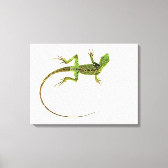 A lizard on pure white ground canvas print (Front)