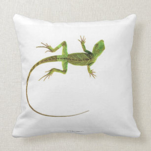 A lizard on pure white ground cushion