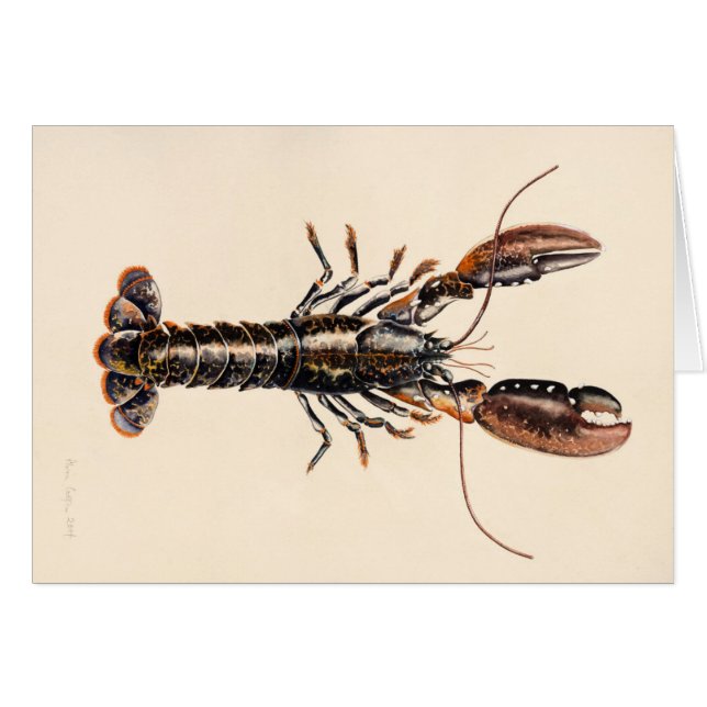 A Lobster from Solva (Front Horizontal)