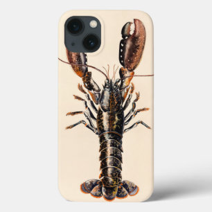 A Lobster from Solva iPhone 13 Case
