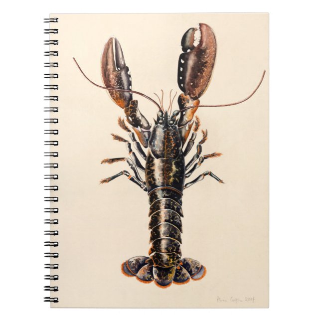 A Lobster from Solva Spiral Notebook (Front)