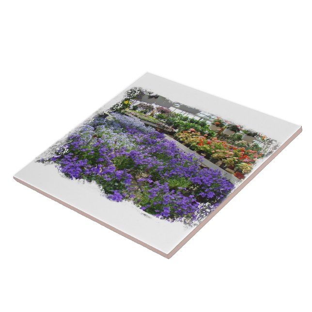 A Local Greenhouse Shows Their Wares Tile (Side)