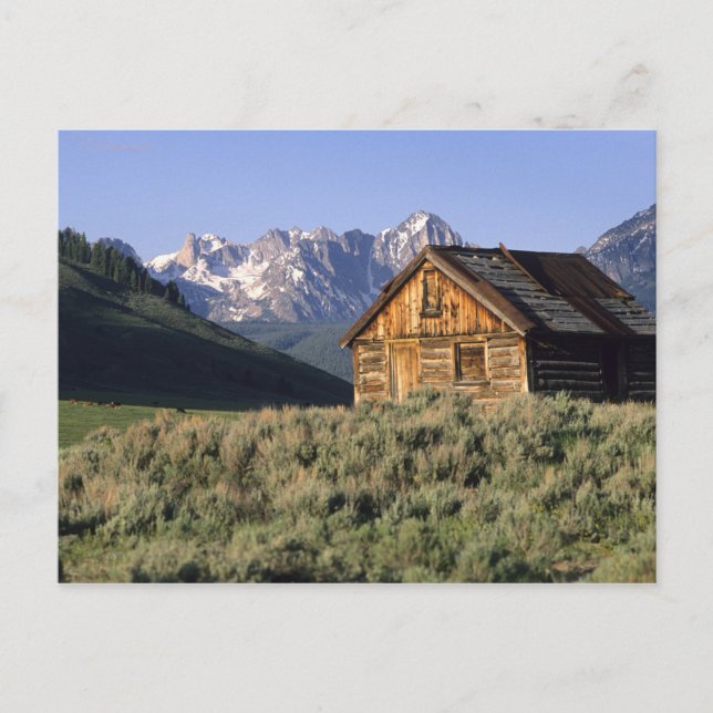 A log cabin and the Sawtooth Mountains in Postcard (Front)