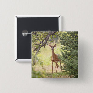 A Lone Deer  15 Cm Square Badge
