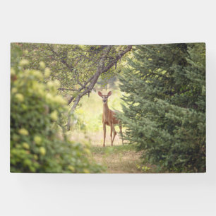 A Lone Deer Banner