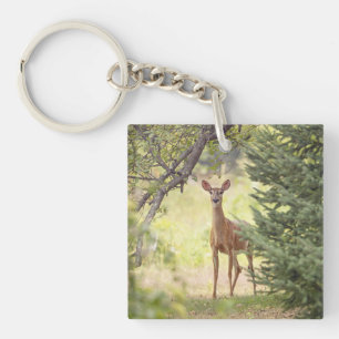 A Lone Deer  Key Ring